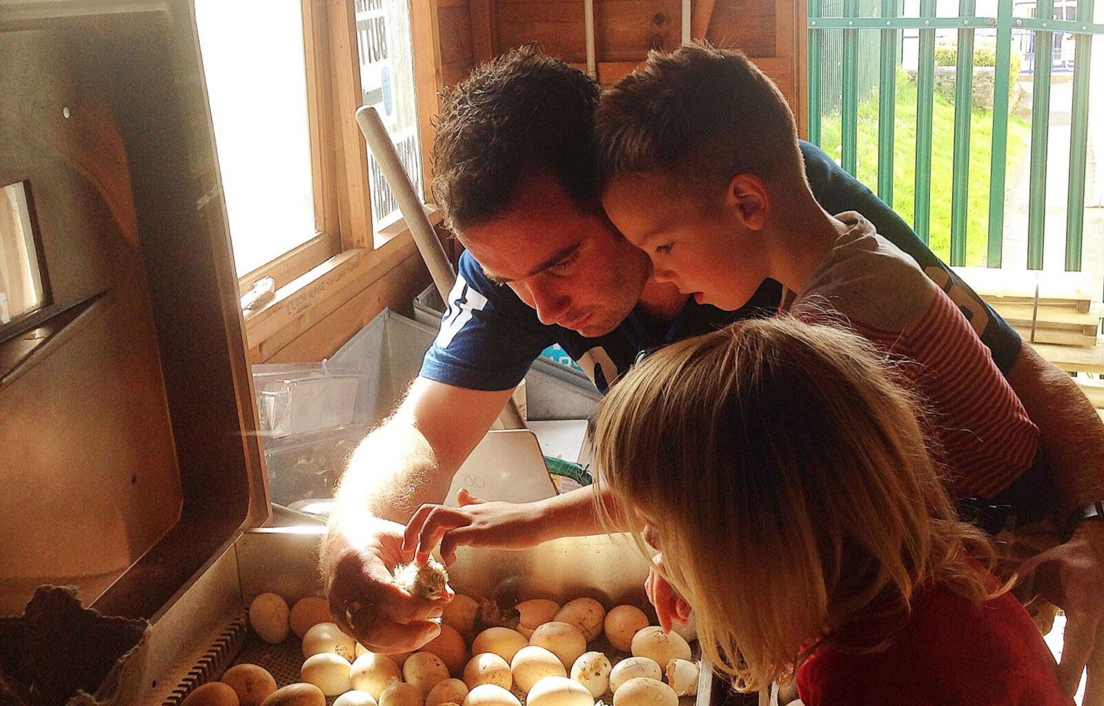 Bespoke Engaging Education Services - BEES UK is a social enterprise based in Plymouth - Header Image