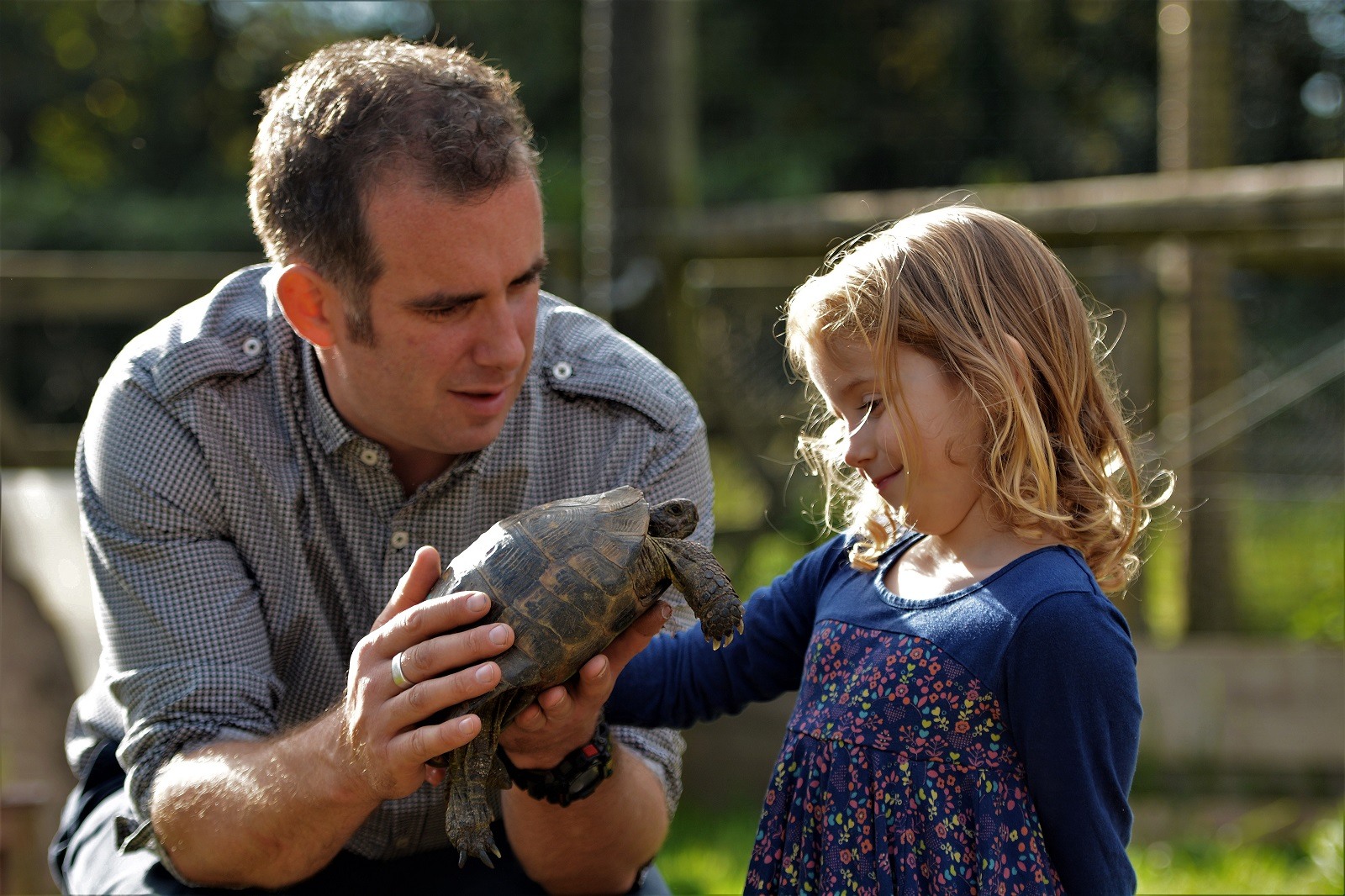 Bespoke Engaging Education Services - BEES UK is a social enterprise based in Plymouth - Header Image