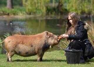 BEES UK Hosts The Launch Of Social Enterprise City Brochure