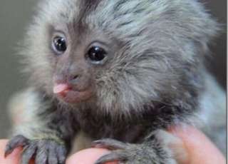 What a brilliant time with the BEES gang today