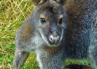 An Awesome Day With Our Longcause Groups Today