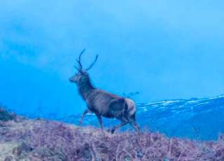 Visit To The John Muir Trust