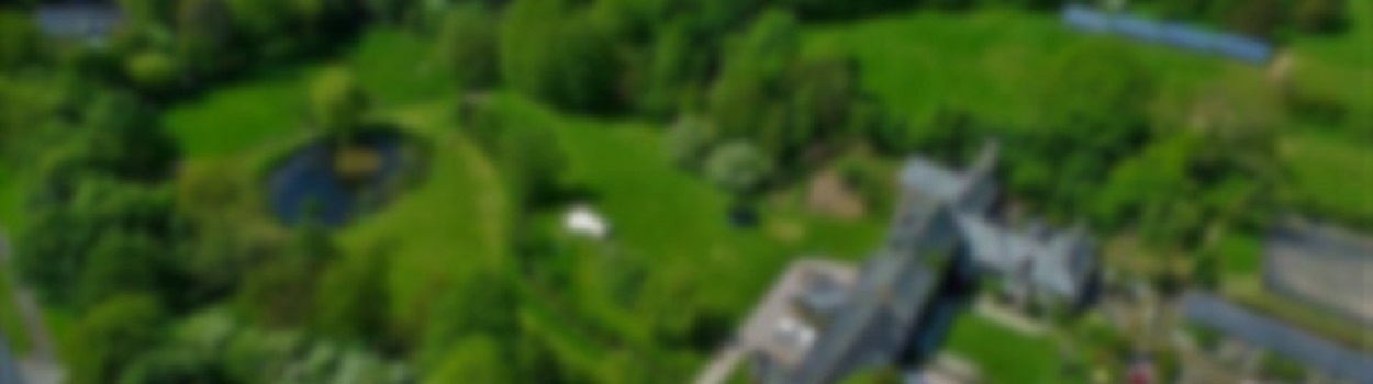 BEES UK - Header Image